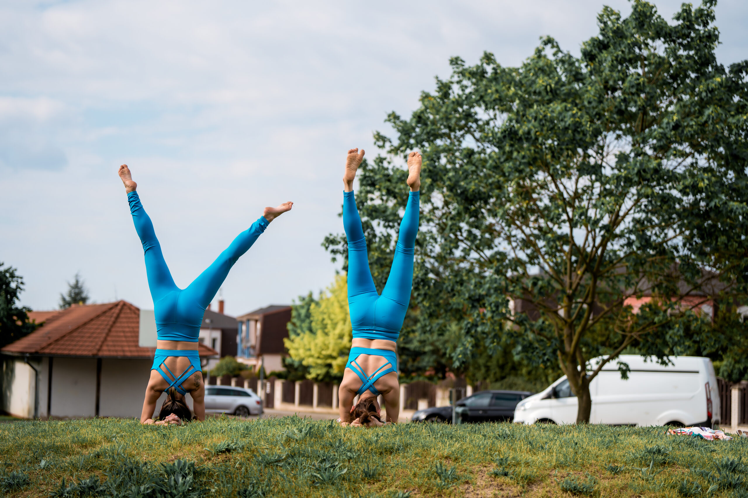 Khóa học Yoga Cơ Bản